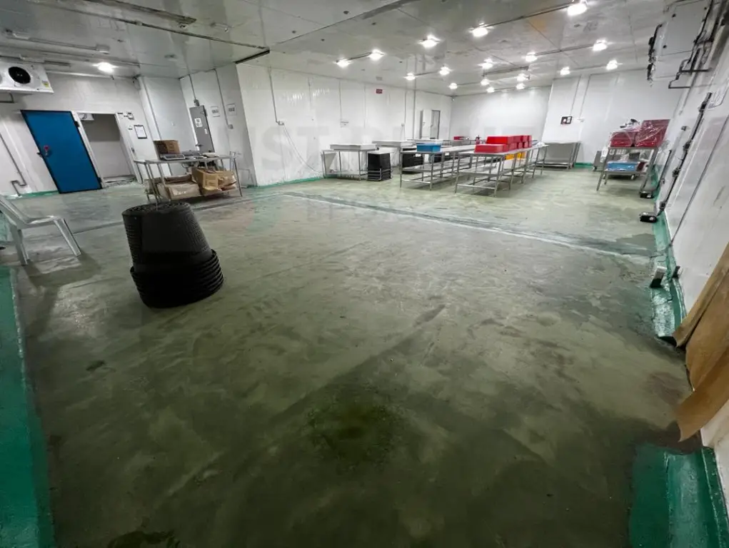 epoxy flooring projects